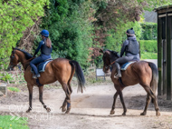EL160424-51 - Emma Lavelle stable visit